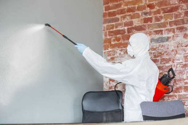 Best Air Quality Testing for Mold Spores  in Wilson, NC