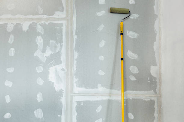 Best Emergency Mold Remediation  in Wilson, NC