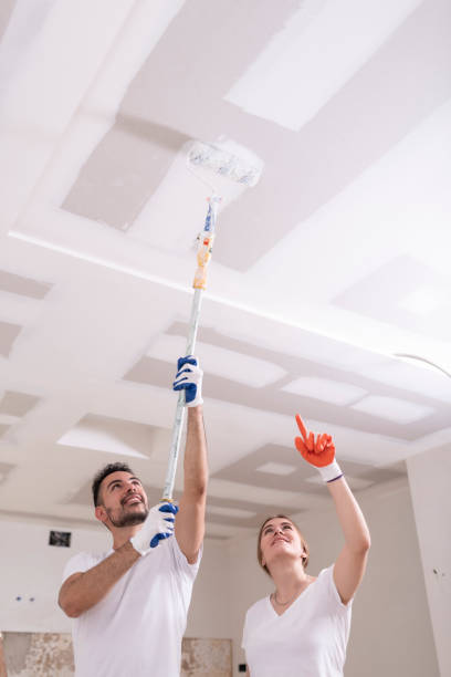 Best Mold Removal for HVAC Installations  in Wilson, NC