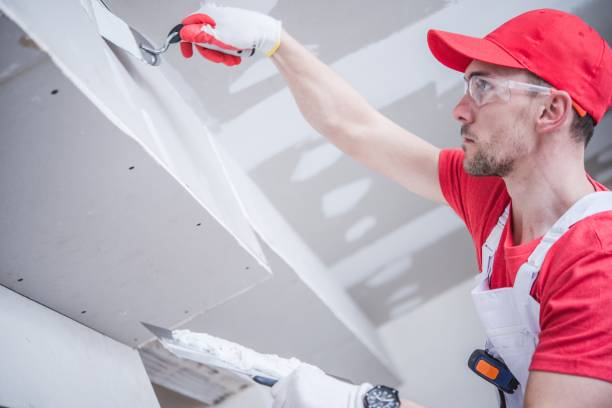 Best Environmental Consulting for Mold Prevention  in Wilson, NC